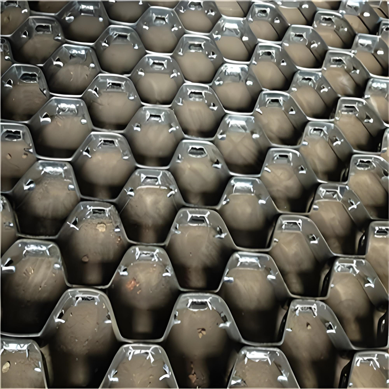 1721202156312528.jpg 龜甲網(wǎng)30.jpg